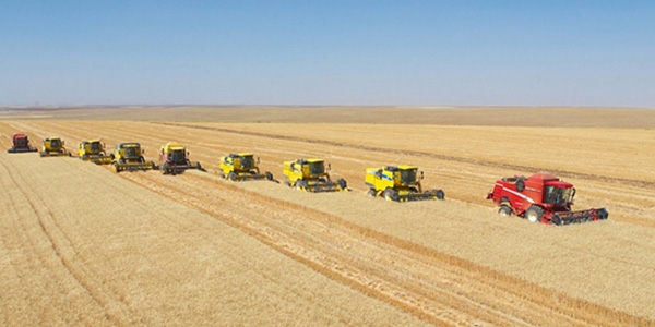 TİGEM, Sudan'da çiftlik kuracak