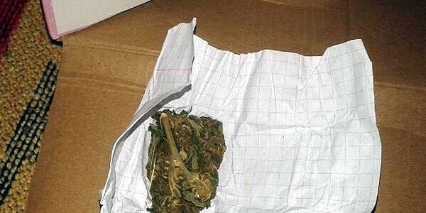 Bakanlar Kurulu'ndan 'bonzai' kararı