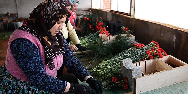 Kutlayamadıkları günün çiçeklerini hazırlıyorlar