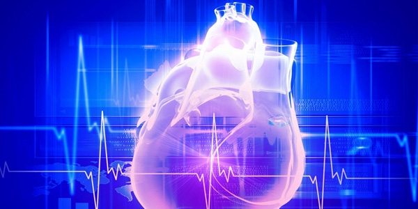 1600 kalp dijital ortamda