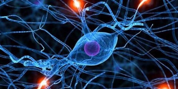 Gece k�rl���ne k�k h�cre umudu