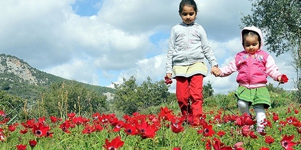 İlk cemreyle Güney Ege'ye 'bahar' geldi