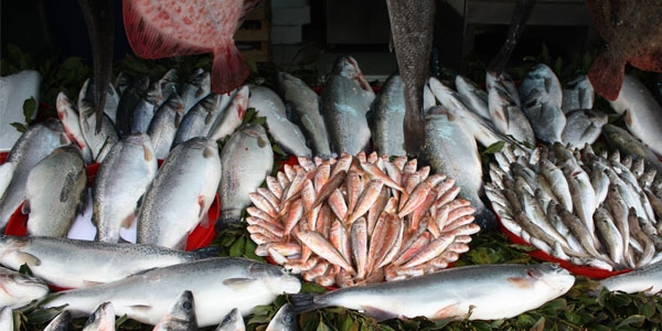 Bal�k fiyatlar� el yak�yor