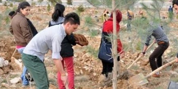 Avrupa'dan Türkiye'ye çevre övgüsü