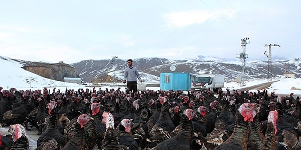 Çözüm süreci yatırımın önünü açtı