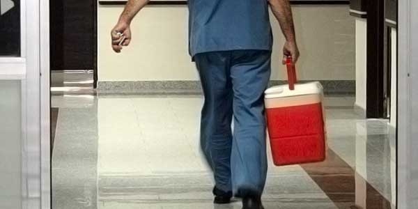 Organ nakli ilaçlarının kanser yaptığı doğru değil