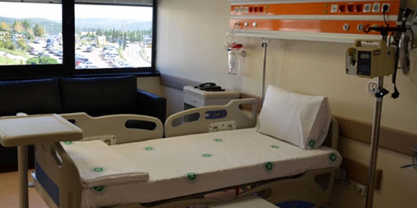 Kocaeli'nde domuz gribi vakas�