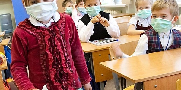 Domuz gribi nedir ve nasıl bulaşır?