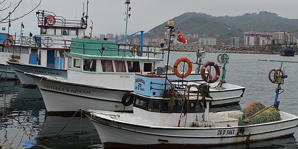 Karadeniz'de yeni balk yetimiyor