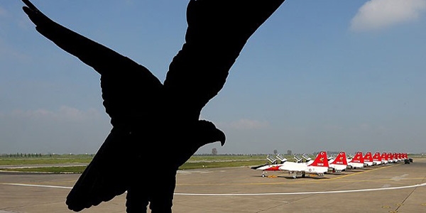 T�rk kartallar 'yuvas�n�' d�nyaya a�t�