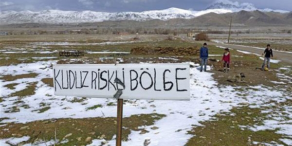 Van'da kuduz karantinası