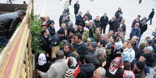 Ücretsiz dağıtılan 5 bin fidan 30 dakikada tükendi