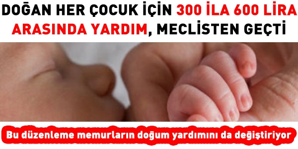 Doğum yardımı maddesi, Meclisten geçti
