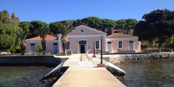 Domuz gribine kar�� Osmanl� y�ntemi