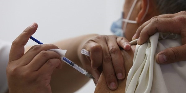 Domuz gribi toplu ya�am alanlar�n� seviyor