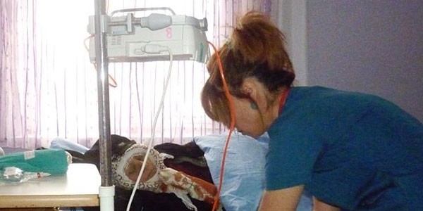 Türkiye'de yılda 159 bin kişi kansere yakalanıyor