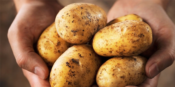 Patates fiyatları 2 lira farkla satılıyor