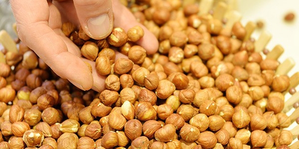 S�nav �ncesi f�nd�k t�ketin �nerisi