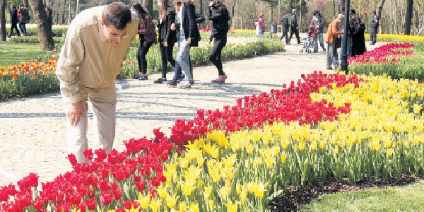 30 milyon lale �ehre renk verdi