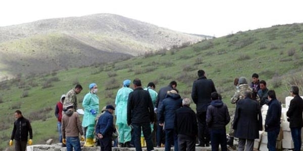 Tunceli'deki kaz�larda 10 insana ait kafatas� bulundu