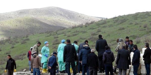 Tunceli'deki kazlarda 10 insana ait kafatas bulundu