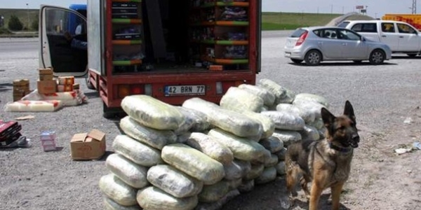 Kay�plar� 'Tim' bulacak