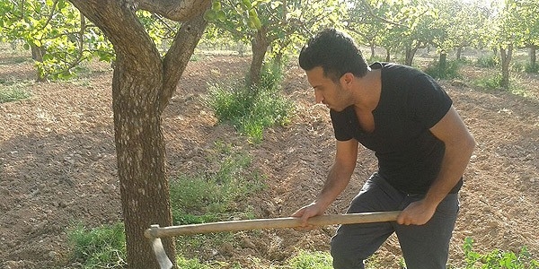 KPSS mağduru ekmeğini 'gündelik işlerden' çıkarıyor