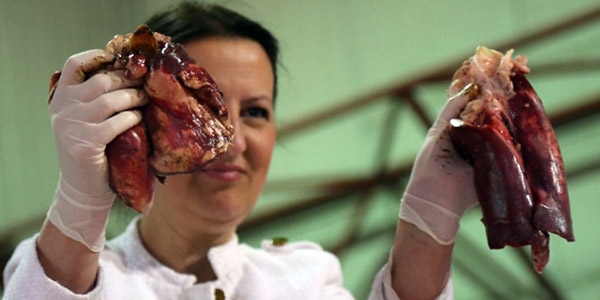 Sigaran�n zararlar� �arp�c� bir �ekilde anlat�ld�