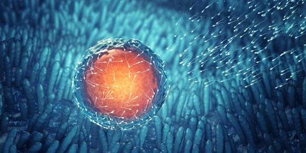 �nsan embriyosunun geneti�i de�i�tirildi