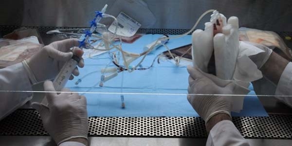 Hematolojik kanser türlerinde aşı tedavisi