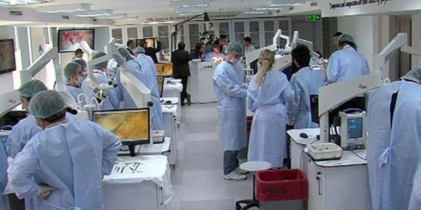 Kadavra sorununa çözüm Çin'den gelecek