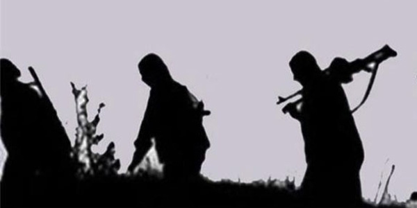 Diyarbakır'da 1 PKK'lı yakalandı
