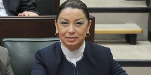 '7 Haziran se�imleri, paralel yap�n�n sonu olacak'