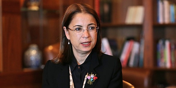 'Yurt dışındaki Türkler için temsilcilikler açılacak'