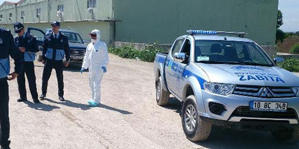 Bandırma'da kuş gribi karantinası sürüyor