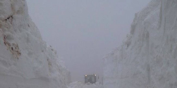 Ordu'da mayıs ayında kar mücadelesi