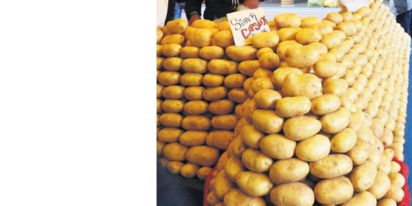 Patates 2.5 TL'nin altna inmezse ithalat balyor