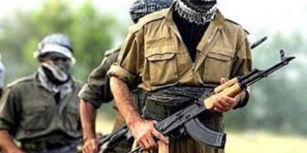 Şırnak'ta bir terörist teslim oldu