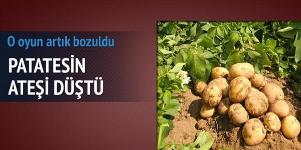 Patatesin fiyatı 1.90'a kadar düştü