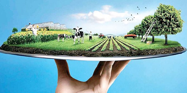 Tarımsal üretim 125 milyar TL'ye ulaştı