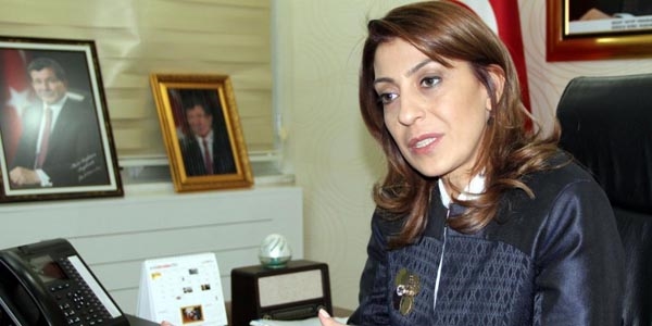 Başbakan'ın Roman danışmanı olacak
