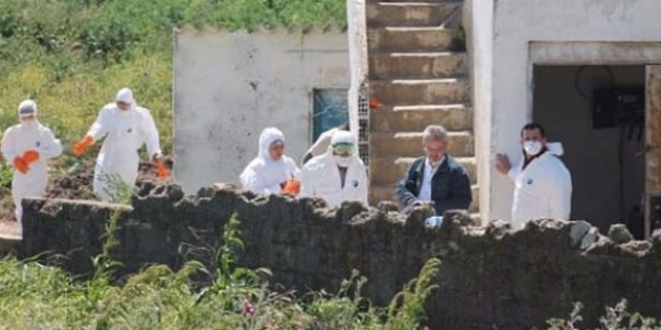 İzmir'de bir mahalle kuş gribi karantinasına alındı