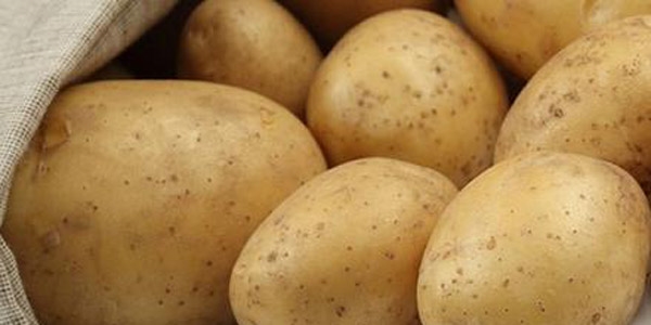 Patatesteki y�ksek fiyat �retime yans�yacak