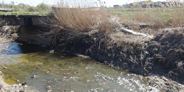 Uzman raporu: Ergene, Marmara'ya son �l�mc�l darbe olur