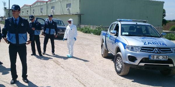 Mahalleye 'ku� gribi' karantinas�