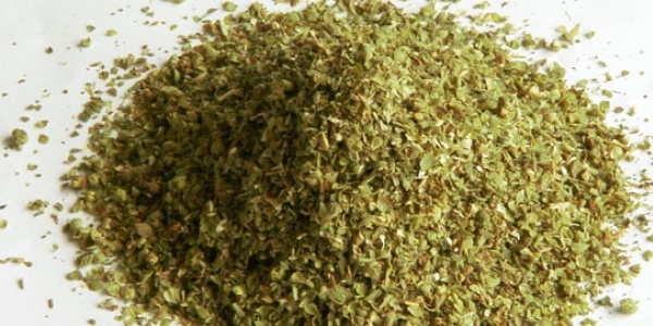 Kekik metabolizmayı hızlandırıyor!