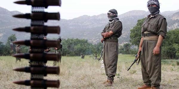 Diyarbakr'da 2 PKK'l teslim oldu