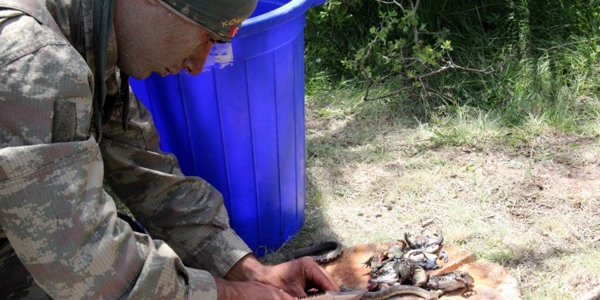 Komandolar�n arazi men�s�: Y�lan, kurba�a ve tavuk