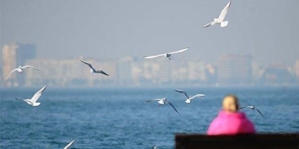 Havalar nas�l olacak? / Harital�