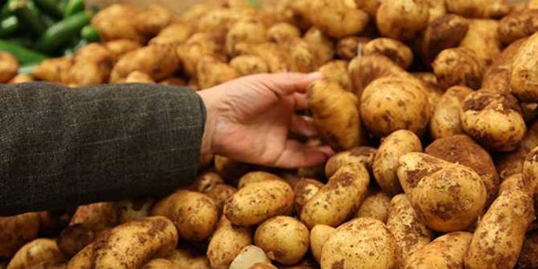 'Patates fiyatlar� d���yor'